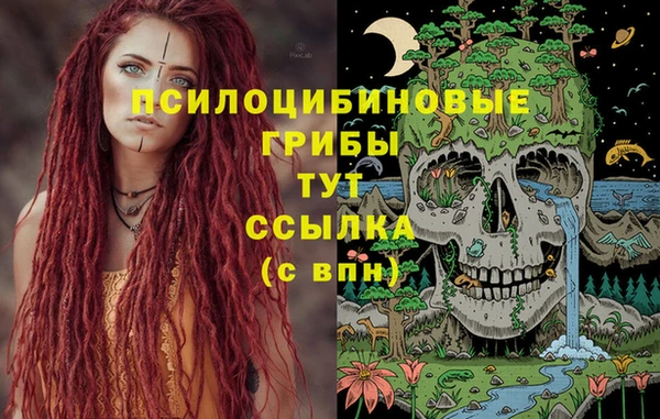 мет Абаза