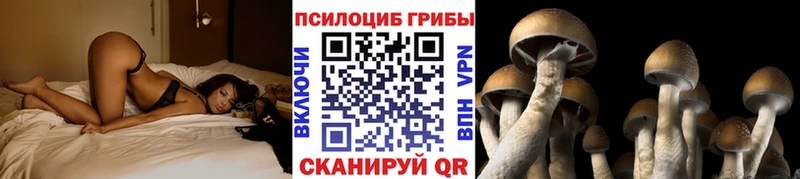 Псилоцибиновые грибы Magic Shrooms  Азнакаево 