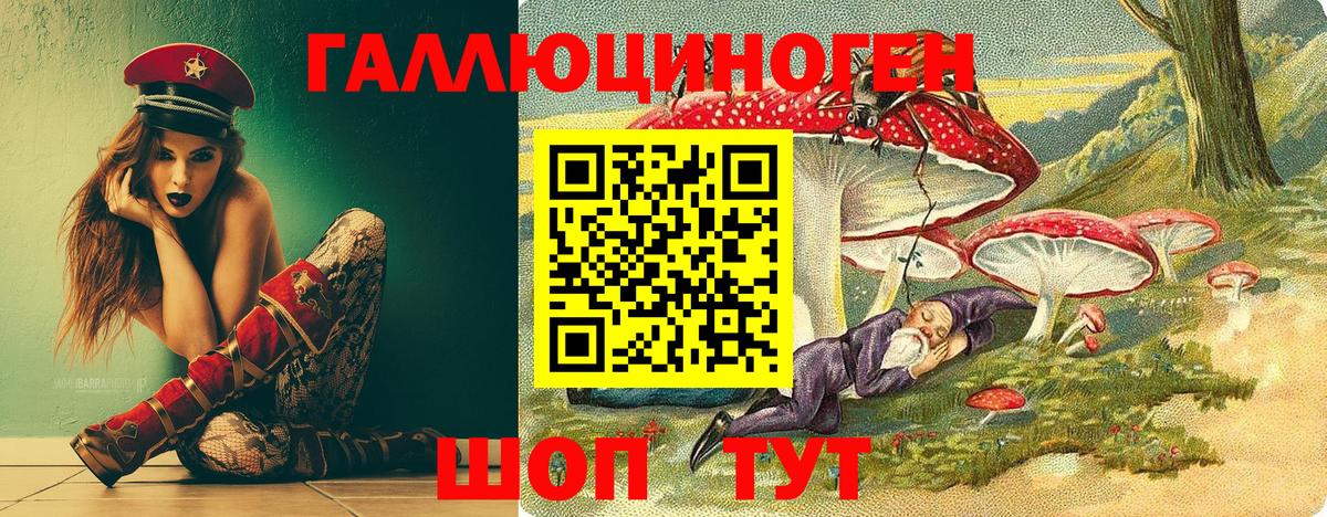 Псилоцибиновые грибы Psilocybine cubensis  Вход с VPN  Азнакаево  Галлюциногенные грибы GOLDEN TEACHER 